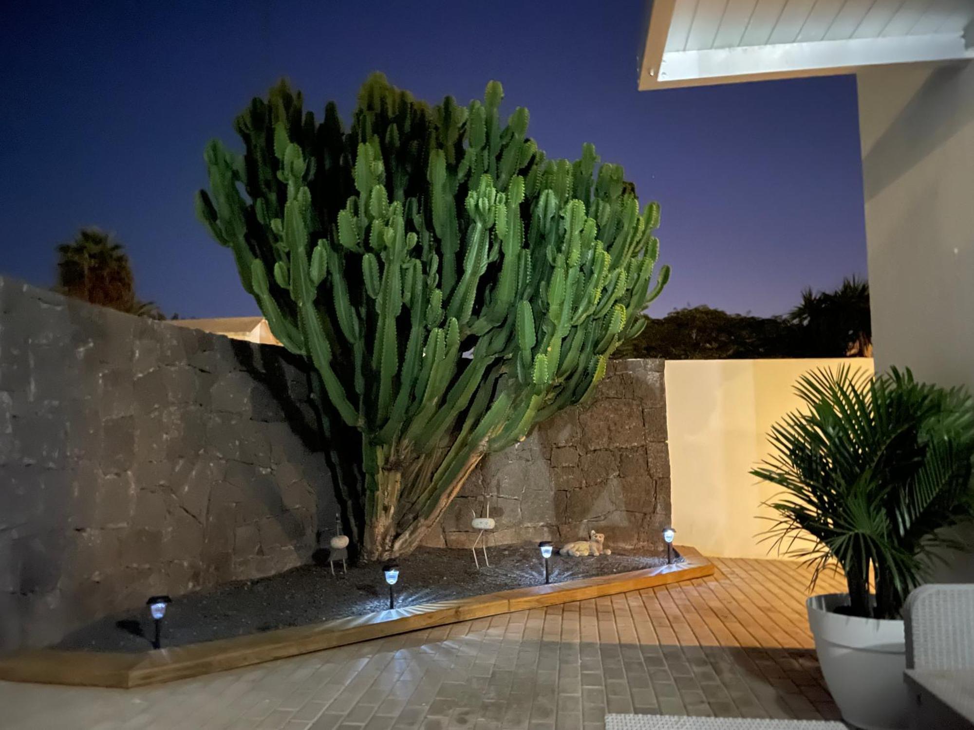 Villa Grey By Vulcano Homes Tahiche Exteriör bild